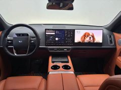 Li Auto L9 Max - ფოტო 10