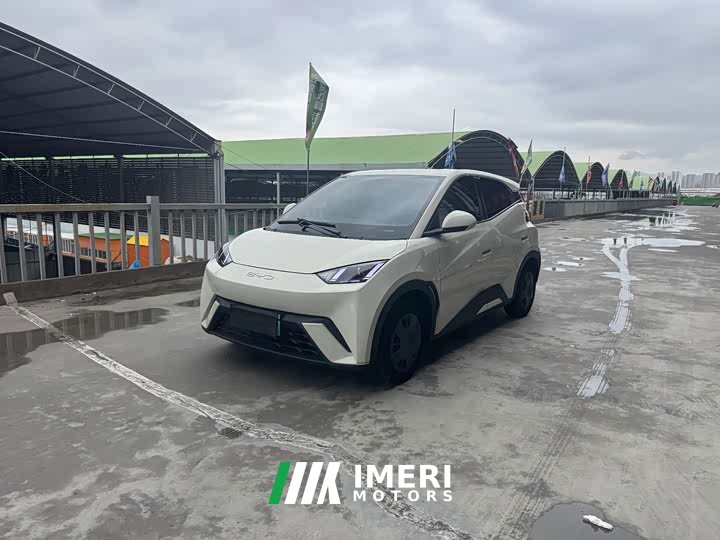 BYD Seagull 2023 Freedom Edition - ავტომობილი ჩინეთიდან