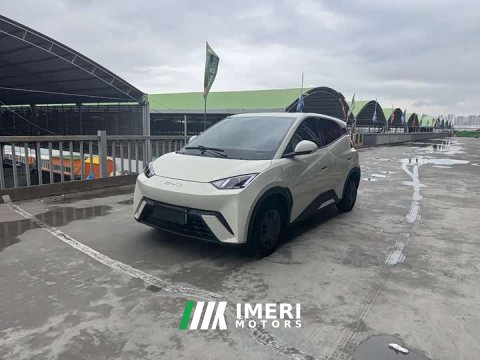2024 BYD Seagull 2023 Freedom Edition - ავტომობილი ჩინეთიდან
