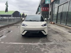 BYD Seagull 2023 Freedom Edition - ფოტო 2