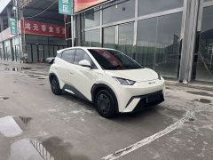 BYD Seagull 2023 Freedom Edition - ფოტო 3