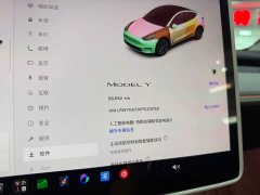 Tesla Model Y Rear-Wheel Drive - ფოტო 18