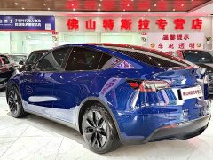 Tesla Model Y Rear-Wheel Drive - ფოტო 3