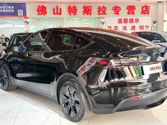 Tesla Model Y Rear-Wheel Drive - ფოტო 3
