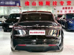 Tesla Model Y Rear-Wheel Drive - ფოტო 6