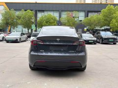 Tesla Model Y Rear-Wheel Drive - ფოტო 12