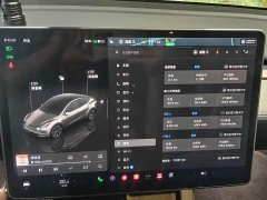 Tesla Model Y Rear-Wheel Drive - ფოტო 14