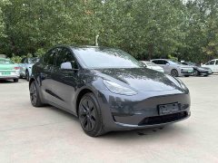 Tesla Model Y Rear-Wheel Drive - ფოტო 3