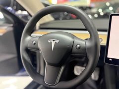 Tesla Model 3 2022 Rear-Wheel Drive - ფოტო 12