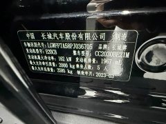 Tank 300 Off-Road Edition 2.0T Conqueror - ფოტო 11