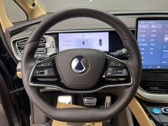 Denza BYD Denza D9 DM-i Smart Drive 1020 AWD Luxury - ფოტო 10