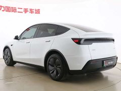 Tesla Model Y 2025 Rear-Wheel Drive - ფოტო 9