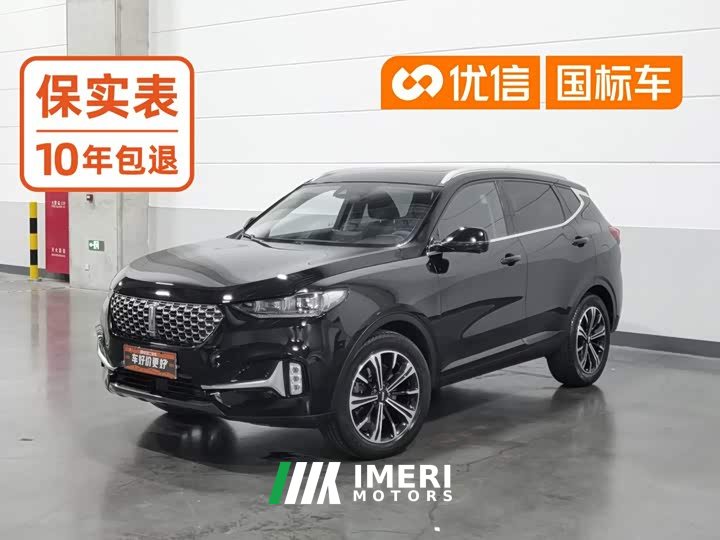 Great Wall WEY VV6 2.0T Two-Wheel Drive Smart Plus - ავტომობილი ჩინეთიდან