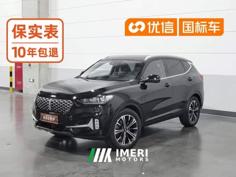 2021 Great Wall WEY VV6 2.0T Two-Wheel Drive Smart Plus - ავტომობილი ჩინეთიდან