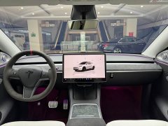 Tesla Model Y 2022 Performance All-Wheel Drive - ფოტო 11