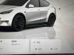 Tesla Model Y 2022 Performance All-Wheel Drive - ფოტო 12