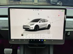 Tesla Model Y 2022 Performance All-Wheel Drive - ფოტო 13