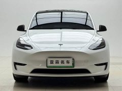 Tesla Model Y 2022 Performance All-Wheel Drive - ფოტო 2