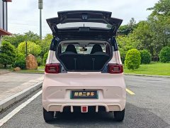BMW Hongguang MINIEV Macaron Premium Edition LFP - ფოტო 15
