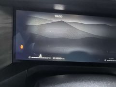 Tank 300 Off-Road Edition 2.0T Challenger - ფოტო 10