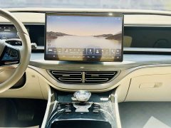 Denza D9 2022 DM-i 970 AWD Flagship - ფოტო 11