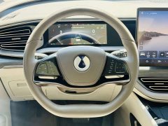 Denza D9 2022 DM-i 970 AWD Flagship - ფოტო 15