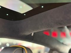 Tesla Model 3 Performance All-Wheel Drive - ფოტო 14