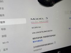 Tesla Model 3 Performance All-Wheel Drive - ფოტო 19