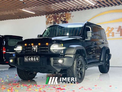 2023 Tank 300 2024 2.0T Conqueror - ავტომობილი ჩინეთიდან