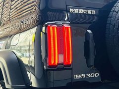 Tank 300 2024 2.0T Conqueror - ფოტო 17