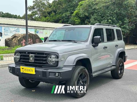 2021 Tank 300 Off-Road Edition 2.0T Challenger - ავტომობილი ჩინეთიდან