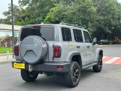Tank 300 Off-Road Edition 2.0T Challenger - ფოტო 4