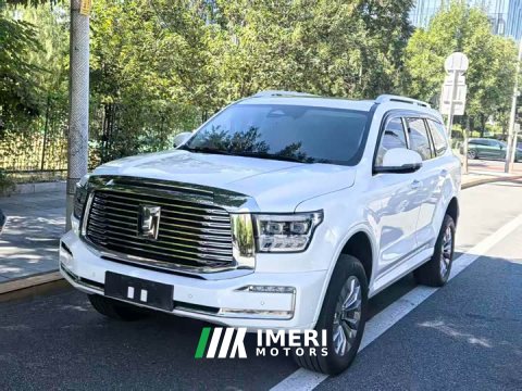 2024 Tank 500 New Energy Hi4-T - ავტომობილი ჩინეთიდან