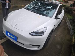Tesla Model Y Rear-Wheel Drive - ფოტო 1