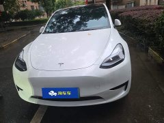 Tesla Model Y Rear-Wheel Drive - ფოტო 2