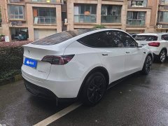 Tesla Model Y Rear-Wheel Drive - ფოტო 3