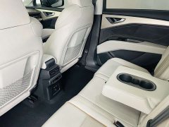 Audi Q5 e-tron 2022 40 e-tron Starlight Edition Brocade Package Daily Version - ფოტო 11