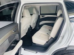 Audi Q5 e-tron 2022 40 e-tron Starlight Edition Brocade Package Daily Version - ფოტო 9