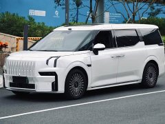 Zeekr Geely Geometry 009 Seven-Seat Ultra Home Edition - ფოტო 1