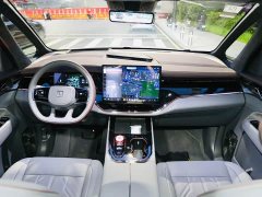 Zeekr Geely Geometry 009 Seven-Seat Ultra Home Edition - ფოტო 14