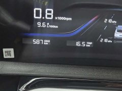 Geely Bingyue 2025 Bingyue L 1.5TD DCT Star Diamond - ფოტო 13