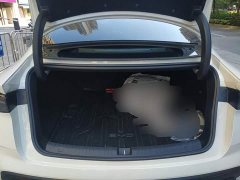 BYD Dolphin 06 DM-i Smart Drive Edition 80KM Luxury - ფოტო 4