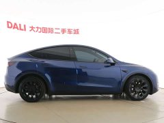 Tesla Model Y Long Range All-Wheel Drive 3D7 - ფოტო 13