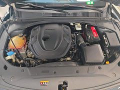 Geely Xingui Xingrui 2.0T Diesel Premium Edition - фото 10
