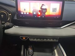 Geely Xingui Xingrui 2.0T Diesel Premium Edition - фото 13