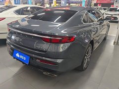 Geely Xingui Xingrui 2.0T Diesel Premium Edition - фото 3