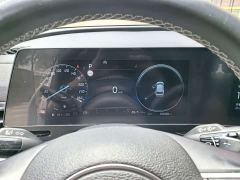 Kia Lion Platinum Tuojie Lion Pibo Tuojie 2.0T Two-Wheel Drive Luxury Edition - photo 8