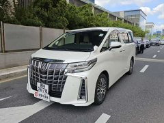 Toyota Alphard 2015 3.5L Automatic - ფოტო 10