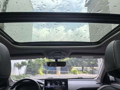 Geely Xingui Xingrui 2.0T Diesel Luxury - photo 15