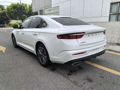 Geely Xingui Xingrui 2.0T Diesel Luxury - photo 5